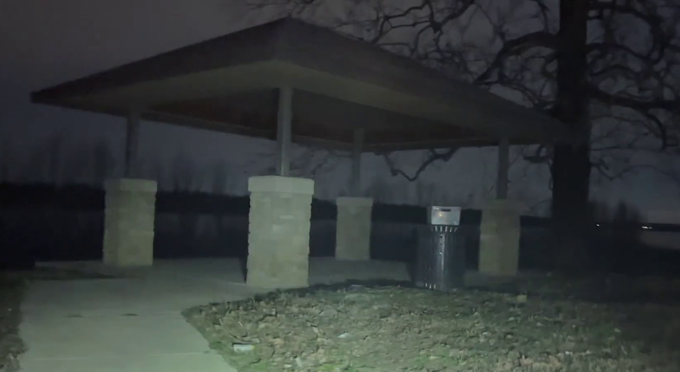 flir stray dog rescue park.png