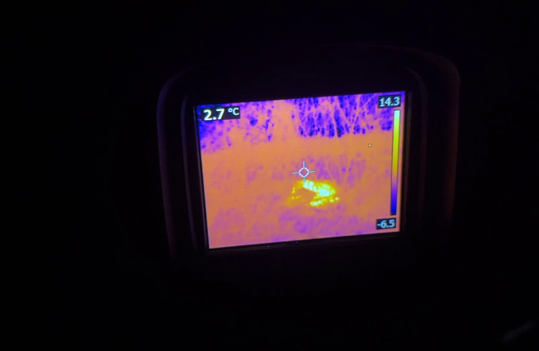 flir stray dog rescue thermal.png